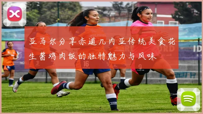亚马尔分享赤道几内亚传统美食花生酱鸡肉饭的独特魅力与风味