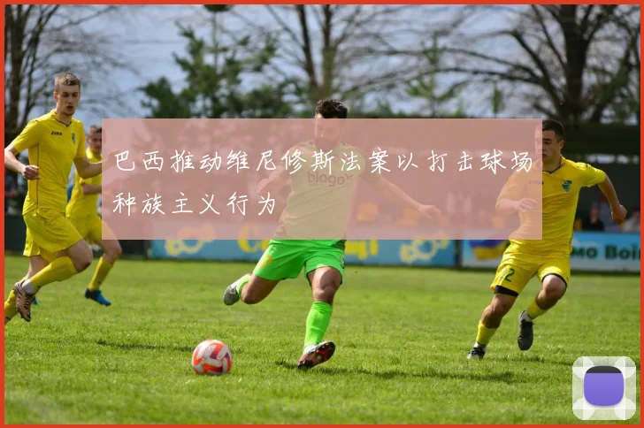 巴西推动维尼修斯法案以打击球场种族主义行为